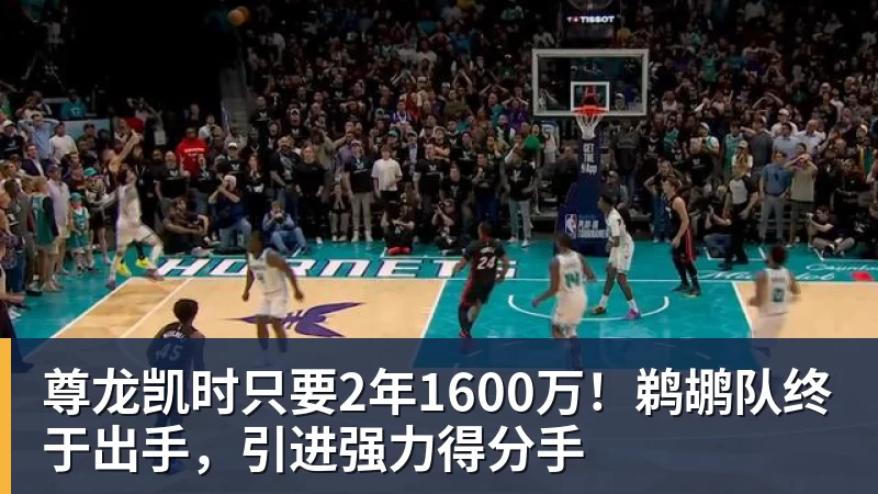 尊龙凯时只要2年1600万！鹈鹕队终于出手，引进强力得分手